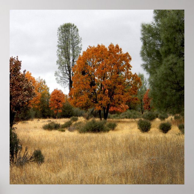 Póster La reunión... (Frente)