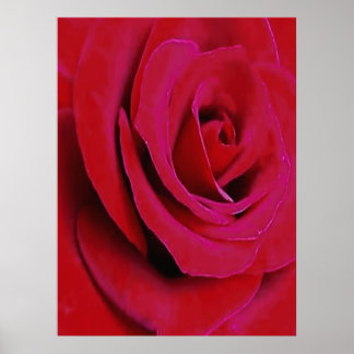 PÓSTER LA ROSA ROJA                                      