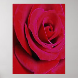 PÓSTER LA ROSA ROJA     
