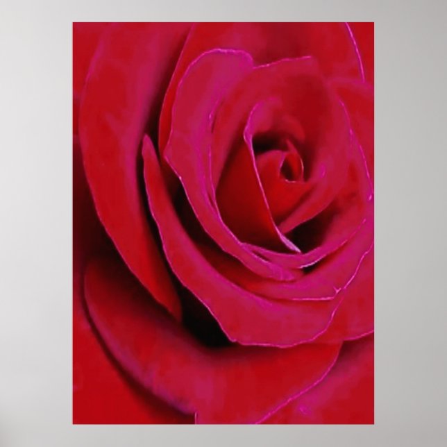 PÓSTER LA ROSA ROJA      (Frente)