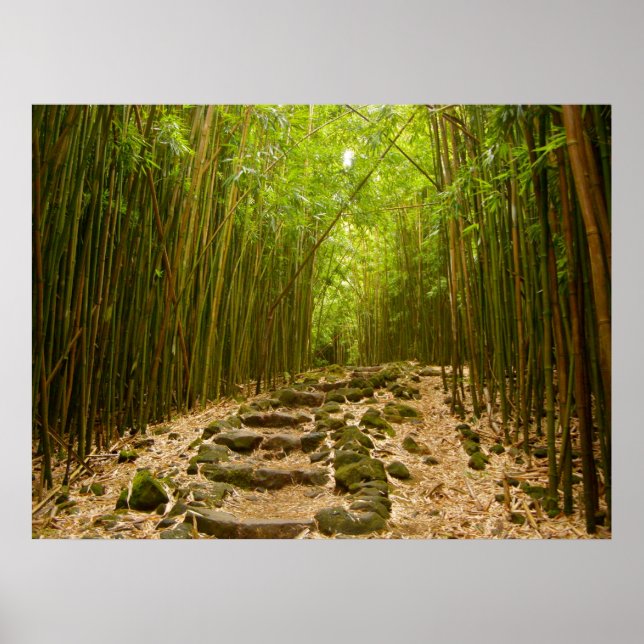 Póster La ruta (Frente)