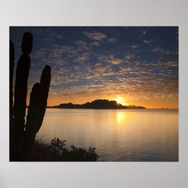 Póster La salida del sol sobre Isla Danzante en el Golfo  (Frente)