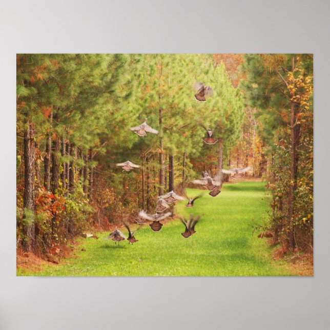 Póster La salvaje Turquía en vuelo (Frente)