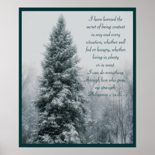 Póster La secreta escena del invierno cristiano