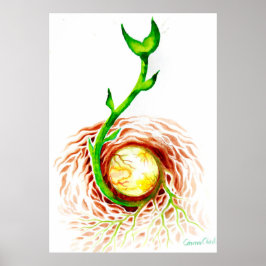 Póster La semilla de la vida