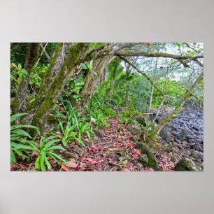 Póster La senda de Kalalau, Costa de Napali, Kauai, Hawái