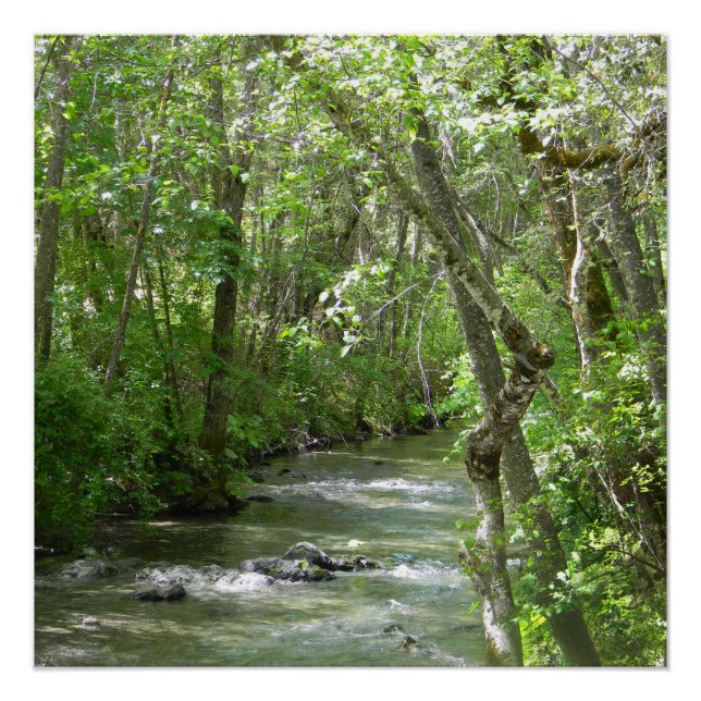 Póster La serenidad...... (Anverso)