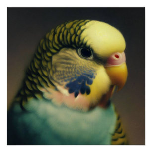 Póster La serenidad de Budgie