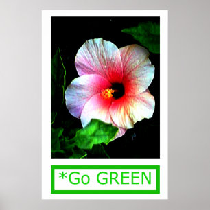 Póster La serie de artistas del MUSEO de Gibney Go Hibisc