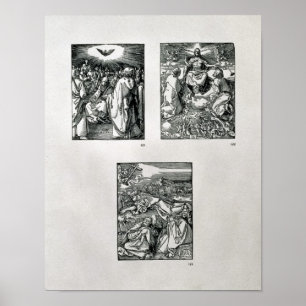 Póster La serie de la "pequeña pasión"