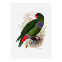 La Serie De Perros Tres De Tres