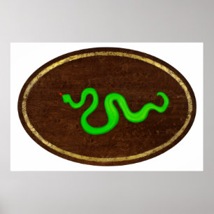 Póster La Serpiente 2009