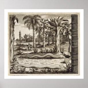 Póster La serpiente de piedra, de 'China ilustrada' por A