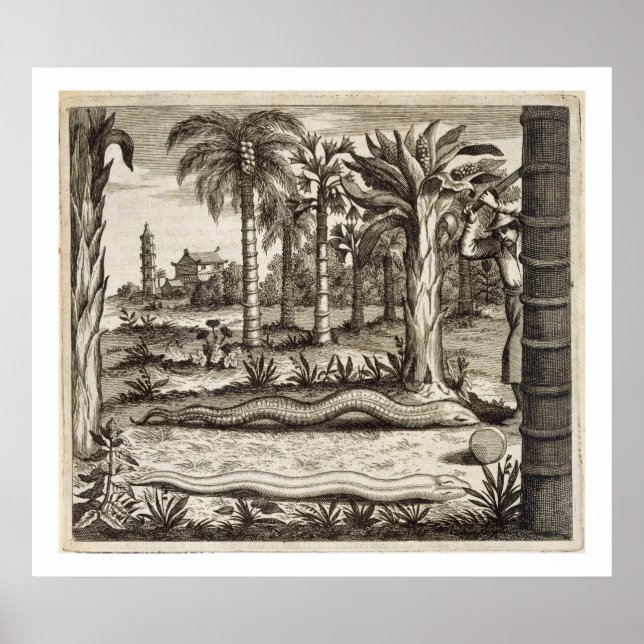 Póster La serpiente de piedra, de 'China ilustrada' por A (Frente)