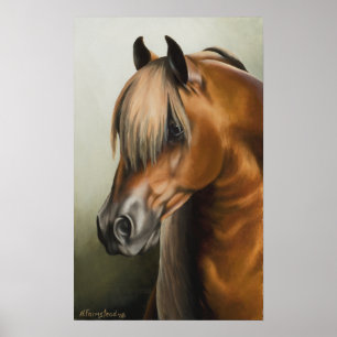 Póster La Sharade