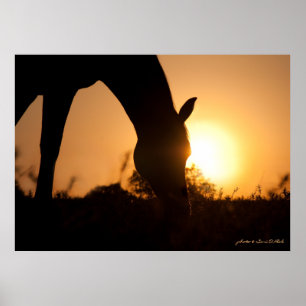 Póster La silueta árabe al amanecer