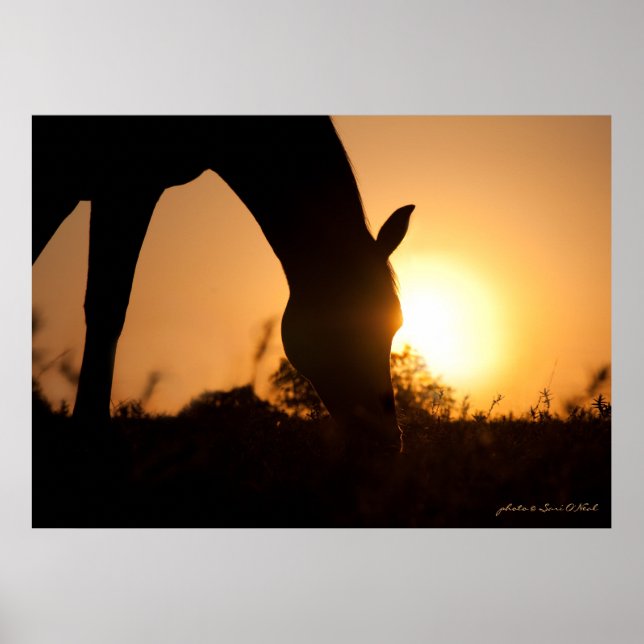 Póster La silueta árabe al amanecer (Frente)