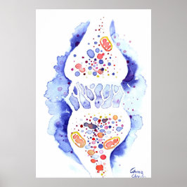 Póster La sinapsis y el impulso neurológico