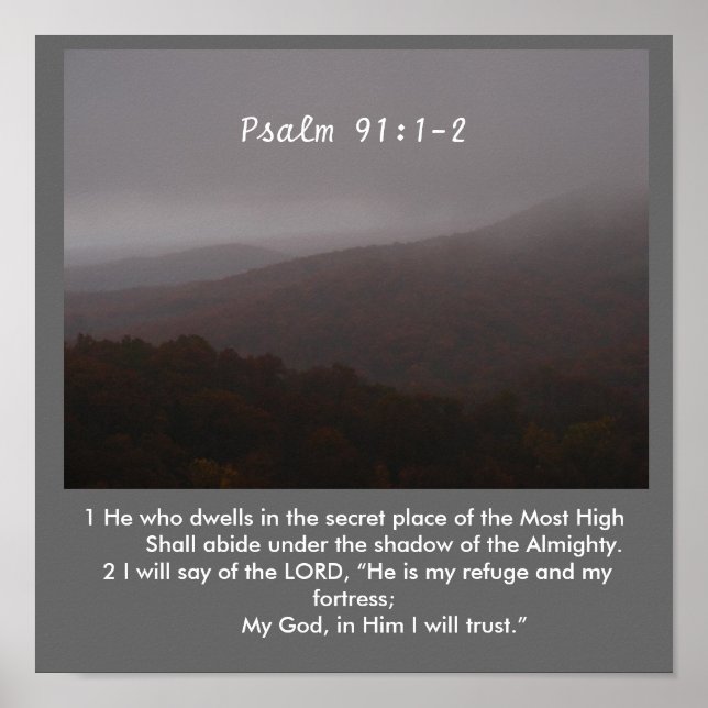 Póster La sombra (Frente)