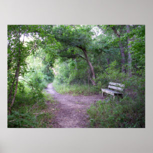 Póster La sombra de la tarde en el bosque