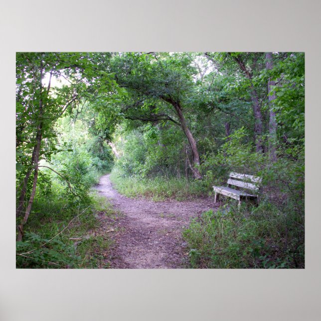 Póster La sombra de la tarde en el bosque (Frente)