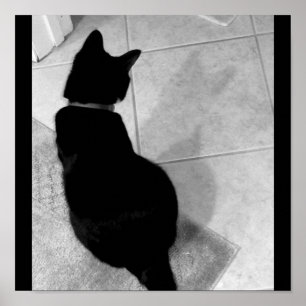 Póster La sombra de Lucy B+W