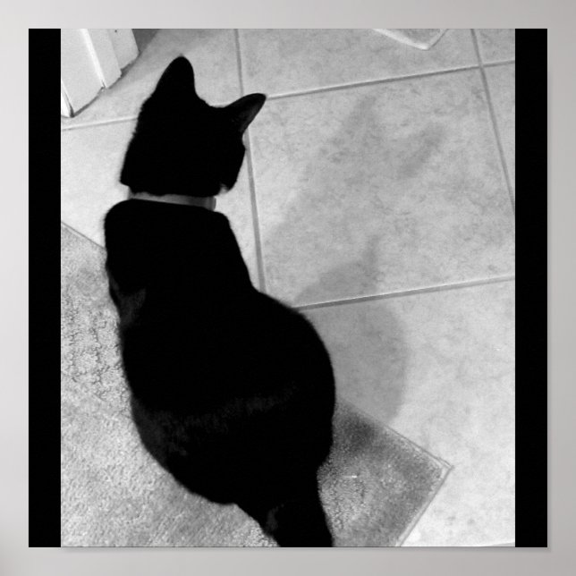 Póster La sombra de Lucy B+W (Frente)