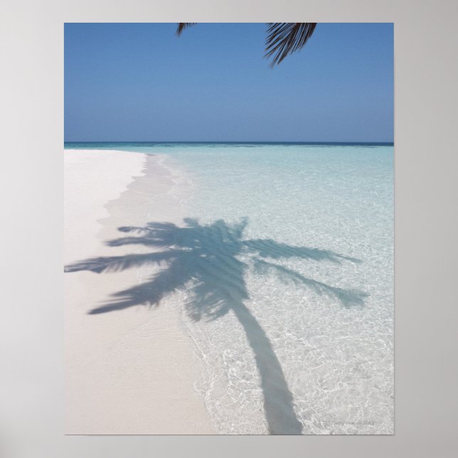 Póster La sombra de una palmera en una playa desierta de 