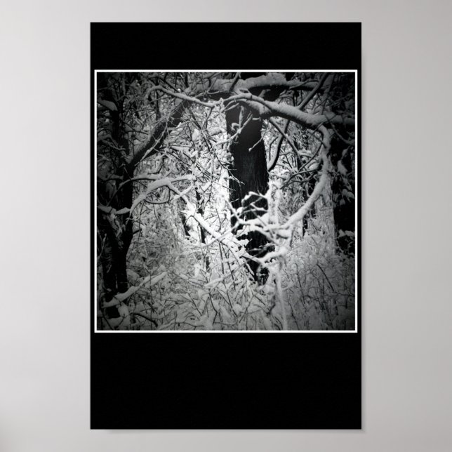 Póster la soplona de la reina de la nieve (Frente)