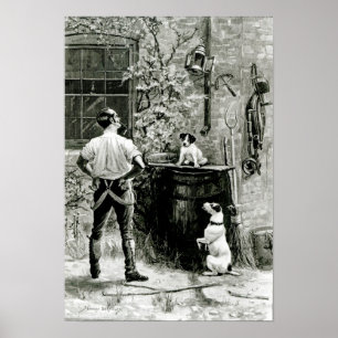 Póster La supervivencia del más apto