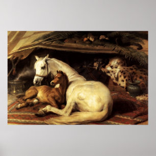 PÓSTER LA TENTARÁB ÁRABE CON CABALLOS Y OTROS ANIMALES