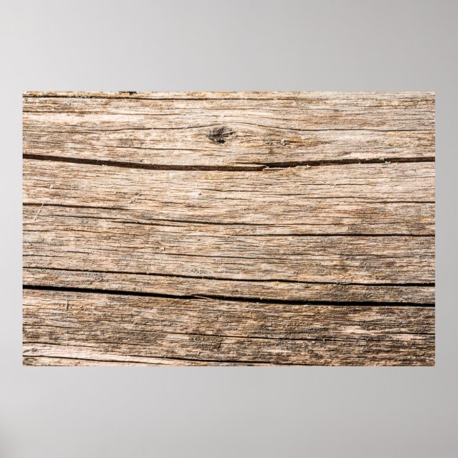 Póster La textura de un viejo tronco de madera sin cortez (Frente)