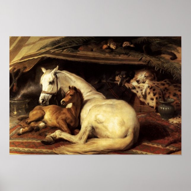 PÓSTER LA TIENDA ÁRABE CON CABALLOS Y OTROS ANIMALES (Frente)