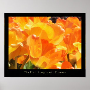 Póster La tierra de los tulipanes naranja y amarillo se r