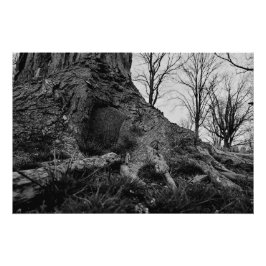 Póster la tierra se recupera