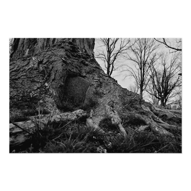 Póster la tierra se recupera (Anverso)