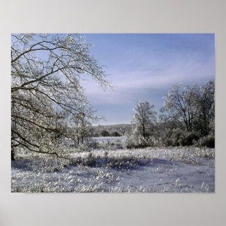 Póster La tormenta de hielo vigila un bosque