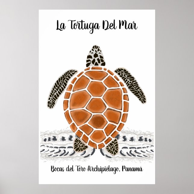 Póster La tortuga del mar - El Poster de la tortuga marin (Frente)
