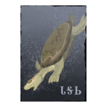 La tortuga se hunde demasiado