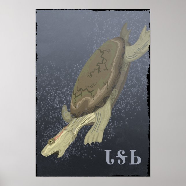 Póster La tortuga se hunde demasiado (Frente)