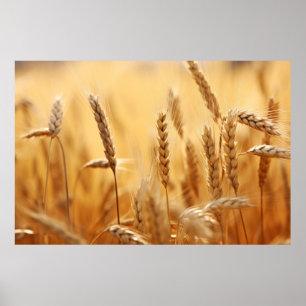 Póster La tranquilidad de la naturaleza de la manada de t