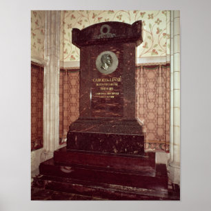 Póster La tumba de Carl Linnaeus
