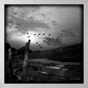 Póster La Urgencia De Ir