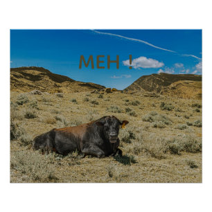 Póster La vaca dice ¡MEH! Toro macho divertido con la boc