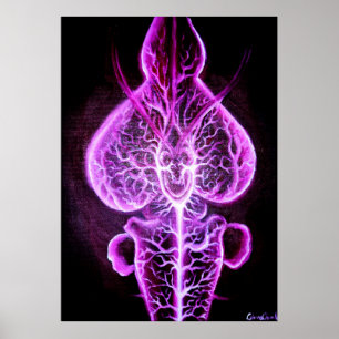 Póster La vascularización del sistema nervioso en roden