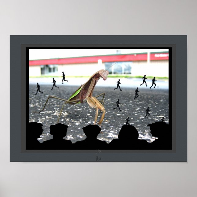 Póster La venganza del Poster de cine Orando Mantis-Monst (Frente)