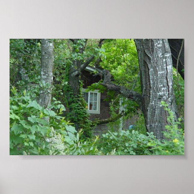 Póster La ventana de la naturaleza (Frente)