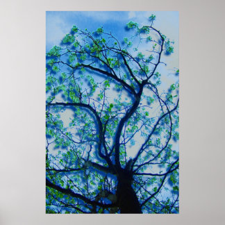 Póster La versión III de Dogwood