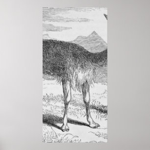 Póster La vicuna en el Río de Azufre