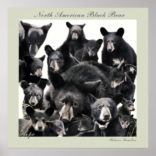 Póster La vida de esperanza (Frente)